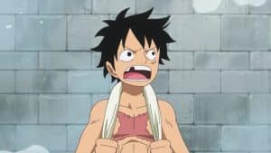 Can Luffy take a bath