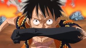 When Does Luffy learn Haki