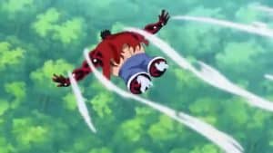 how can luffy fly