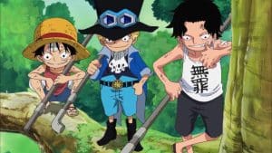 how are Luffy Ace and Sabo related