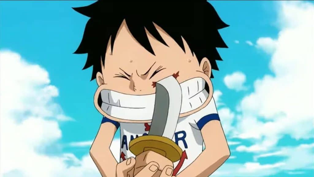 How did Luffy get the scar on his face