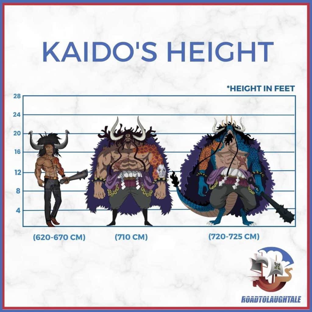 How tall is Kaido