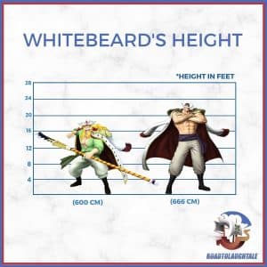 How tall is Whitebeard