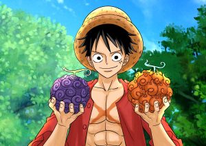 Can Luffy have 2 devil fruits