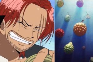 shanks df 1