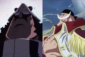 Was whitebeard a buccaneer
